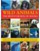 Wild Animals Best Ever Box of Books - Anness Publishing - 9781843227984-thumb