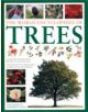 World Encyclopedia of Trees - 9781843228462-thumb