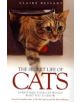 The Secret Life of Cats - 9781844548040-thumb