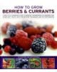 How to Grow Berries and Currants - 9781844769445-thumb