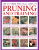 Pruning - 9781844778362-thumb