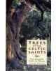 Trees of the Celtic Saints   The Ancient Yews of Wales - 9781845271732-thumb