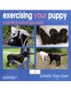 Exercising Your Puppy - 9781845843571-thumb