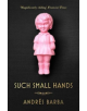 Such Small Hands - 9781846276750-thumb