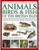 The Complete Illustrated Guide to Animals, Birds & Fish of the British Isles - 9781846815430-thumb