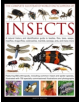 Complete Illustrated World Encyclopedia of Insects - 9781846815829-thumb