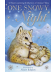 One Snowy Night - 9781847159595-thumb