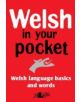 Welsh in Your Pocket - 9781847718778-thumb