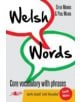 Welsh Words - Geirfa Graidd, Lefel Mynediad (De Cymru/South Wales) - 9781847719812-thumb