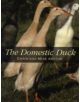 The Domestic Duck - 9781847970503-thumb