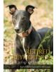 Retired Greyhounds - 9781847971654-thumb