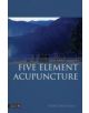 The Simple Guide to Five Element Acupuncture - 9781848191860-thumb