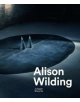 Alison Wilding - 9781848222656-thumb