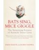 Bats Sing, Mice Giggle - 9781848311305-thumb