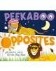 Peekaboo Opposites - 9781848692855-thumb