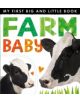 My First Big and Little Book: Farm Baby - 9781848959248-thumb