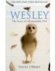 Wesley - 9781849010580-thumb