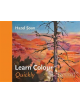 Learn Colour In Painting Quickly - 9781849944793-thumb