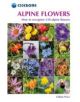 Alpine Flowers - 9781852845650-thumb