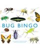 Bug Bingo - 9781856699402-thumb