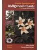 Creative gardening with indigenous plants - 9781875093991-thumb