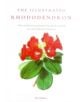 Illustrated Rhododendron, The - 9781900347990-thumb