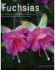 Fuchsias - 9781903141649-thumb