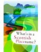 What's in a Scottish Placename? - 9781904737391-thumb