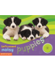 Noisy Puppies - 9781905503186-thumb