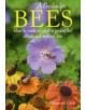 The Bee Garden - 9781905862597-thumb