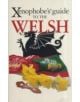 The Xenophobe's Guide to the Welsh - 9781906042516-thumb