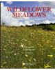 Wildflower Meadows: Survivors from a Golden Age - 9781906506261-thumb