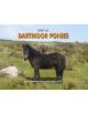 Spirit of Dartmoor Ponies - 9781906887230-thumb