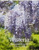 Wisteria: The Complete Guide - 9781907057885-thumb