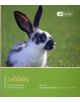 Rabbit - Pet Friendly - 9781907337055-thumb