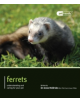 Ferrets - Pet Friendly - 9781907337079-thumb