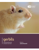 Gerbils - Pet Friendly - 9781907337109-thumb