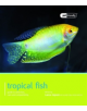 Tropical Fish - Pet Friendly - 9781907337192-thumb