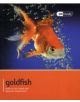 Goldfish - Pet Friendly - 9781907337208-thumb