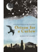 Orison for a Curlew - 9781908213570-thumb