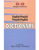 English-Punjabi & Punjabi-English One-to-One Dictionary. Exam Suitable: Script & Roman - 9781908357922-thumb