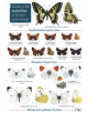 Guide to the butterflies of Britain and Ireland - 9781908819451-thumb