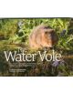 The Water Vole - 9781910240540-thumb