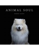 Animal Soul - 9781910453216-thumb