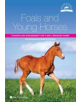 Foals and Young Horses - 9781910455098-thumb