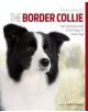 Border Collie Best of Breed - 9781910488010-thumb