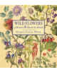 Wild Flowers - 9781910723319-thumb