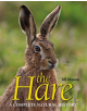 The Hare - 9781910723937-thumb