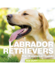 Labrador Retrievers - 9781910843413-thumb