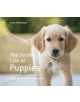 The Secret Life of Puppies - 9781911216414-thumb